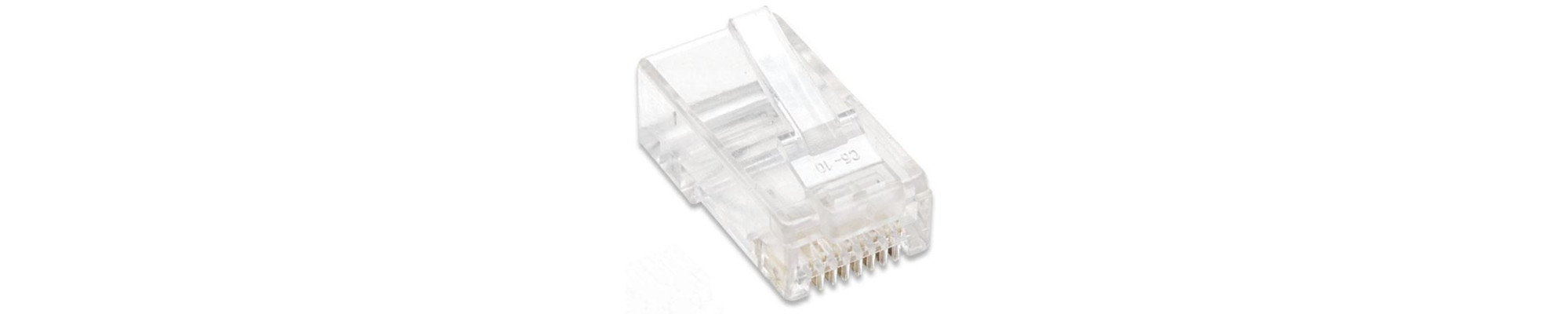Plug RJ45