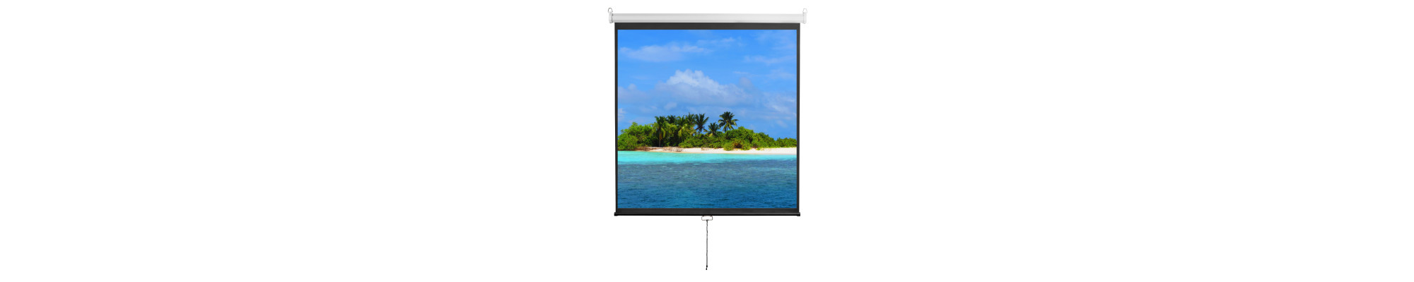 Projector Screens
