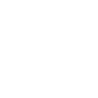 REOLINK